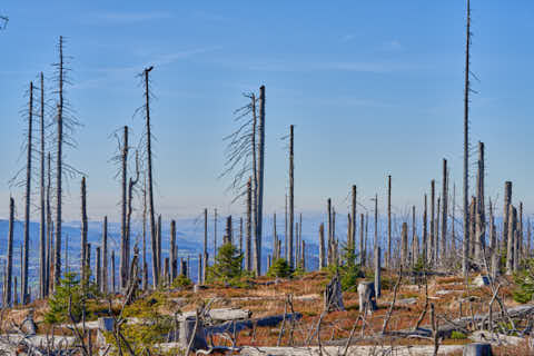 Gemeinde Neureichenau Landkreis Freyung-Grafenau Plöckenstein (Dirschl Johann) Deutschland FRG